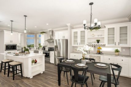 TNR 5603B 39218 DR Kit web 600x400 1